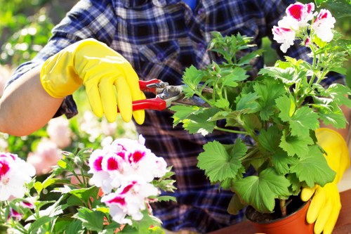 Gardener planning site safety checklist