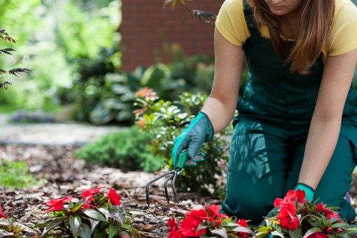 Gardener assisting a client with mobility considerations in a garden