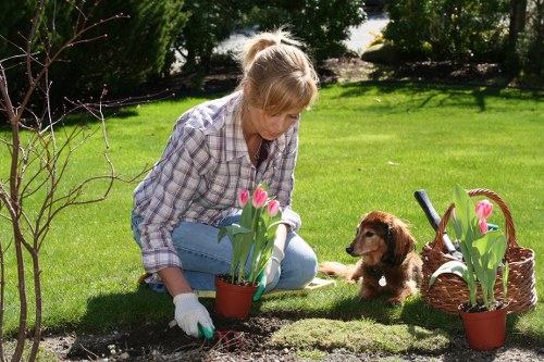 Happy customers enjoying their well-maintained Hanwell gardens